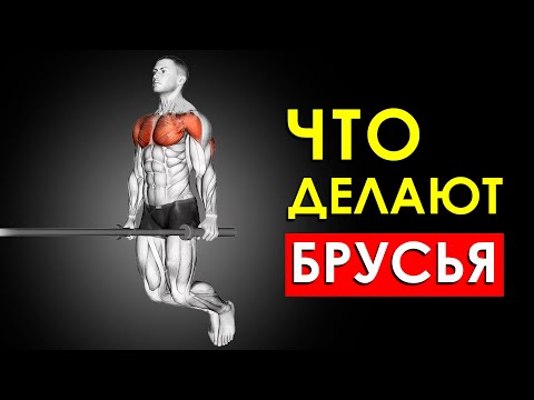 Видео: Что Произойдет с Вашим Телом, Если Отжиматься на Брусьях