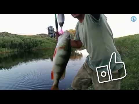 Видео: Дальний поход по бескрайним степям Казахстана