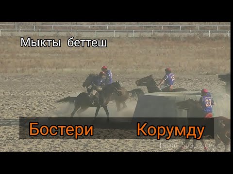 Видео: Кок бору 🔥 Бостери жана Корумду. 19 октябрь