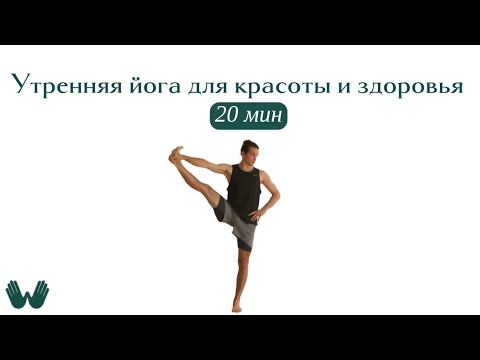 Видео: Йога на каждый день для начинающих | WILLWAY