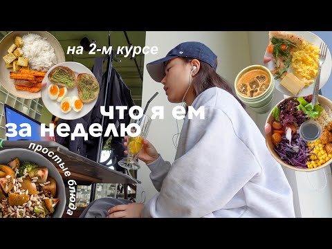 Видео: Что я ем за неделю 2022 | Простые блюда во время учебы | почти-растительное питание🥗