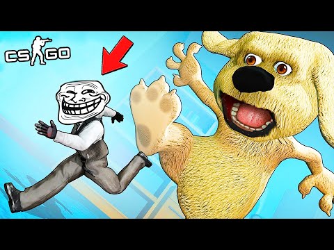 Видео: ТРОЛЛЬ немесе ЗҰЛЫМ БЕН!!! CS:GO МАНЬЯК!!!