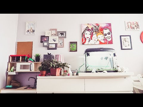 Видео: vlog как ВПУТЫВАТЬ детей, метаморфозы детской, РОЗЫГРЫШ кота - Senya Miro