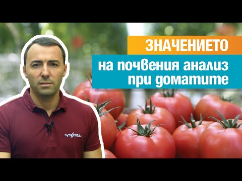 Видео: Значението на почвения анализ при доматите