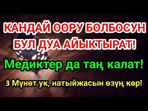 Видео: ДАРЫСЫ ЖОК ООРУГА ШЫПАА! Бул дуба менен керемет мүмкүн! 🤲