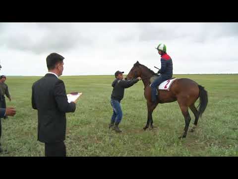 Видео: Конноспортивные соревнования в  а. Шарахалсун на Фестивале Туркменской культуре