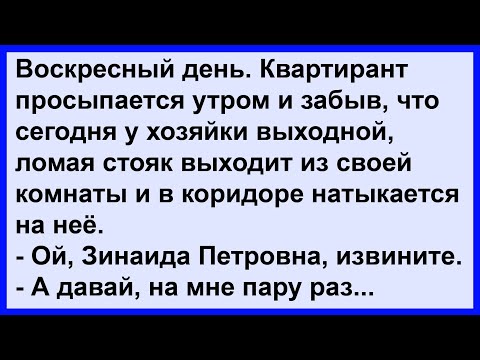 Видео: Про квартиранта и хозяйку... Сборник! Клуб анекдотов!