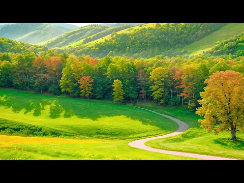 Видео: Красивая расслабляющая музыка — избавление от лишних мыслей, музыка для снятия стресса, музыка для с