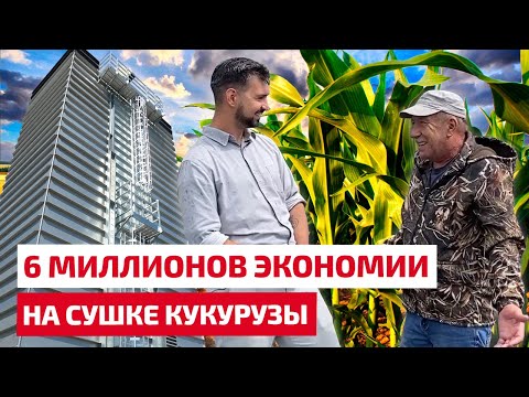 Видео: 6 миллионов экономии на сушке кукурузы. Влагосъём с 32% за 1 проход