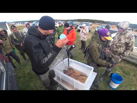 Видео: Соревнования по рыбной ловле Осень 2020