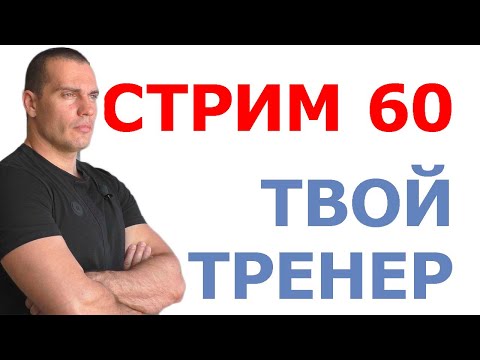 Видео: Тимко Илья: ответы на вопросы (стрим №60)