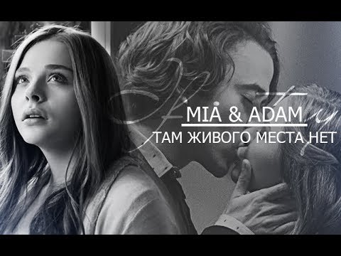 Видео: ADAM & MIA l ЖИВОГО МЕСТА НЕТ