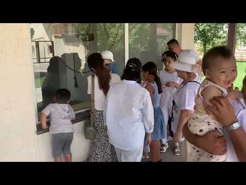 Видео: Шымкенттеги демалыс 2025#зоопарк#хайуанаттар мекени