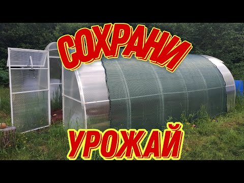 Видео: Чудо сетка для теплицы.