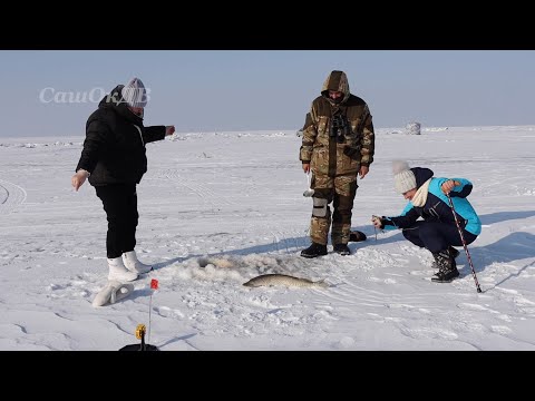 Видео: Озеро Ханка. Щука на жерлицы. Щука 2024. Lake Khanka.  We're catching pike...