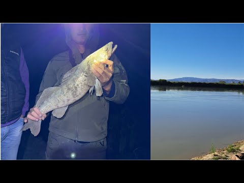 Видео: Балық аулау Іле өзені