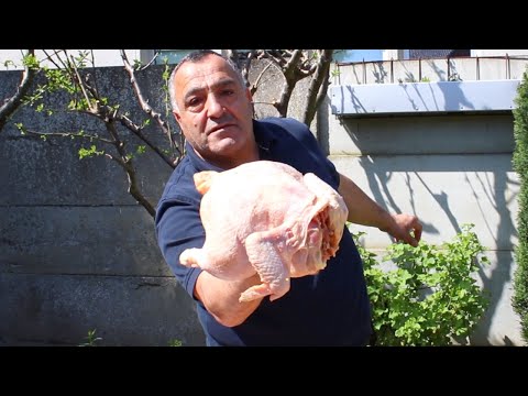 Видео: Как вкусно приготовить чахохбили из домашней курицы в казане на костре