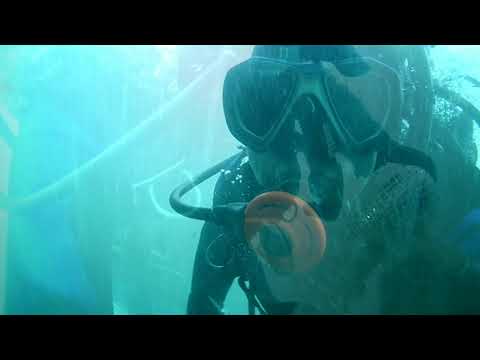 Видео: Тимоха 26 09 20 Норд Ост  подвод
