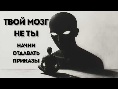 Видео: Твой мозг — твой главный враг. Вот как его приручить