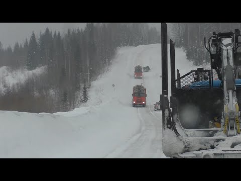 Видео: Поставил на передок шины Кама-Урал. Еду за лесом.