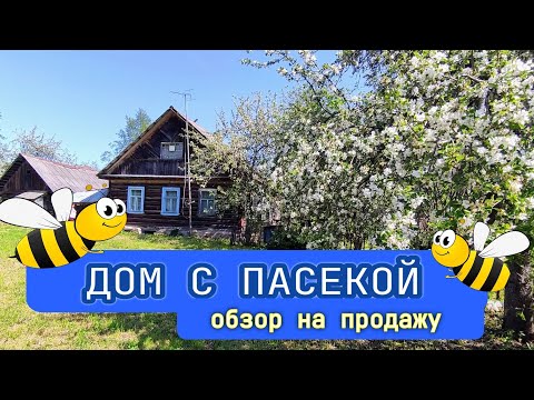 Видео: Дом с пасекой за 480 тысяч