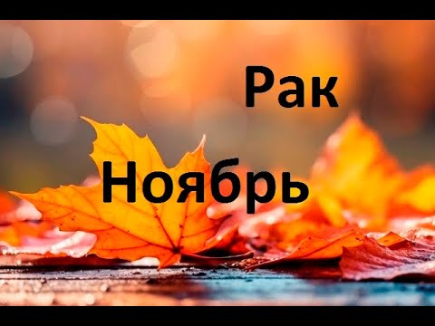 Видео: Рак - Таро прогноз на ноябрь 2025 года от Taro Solar Souls. 