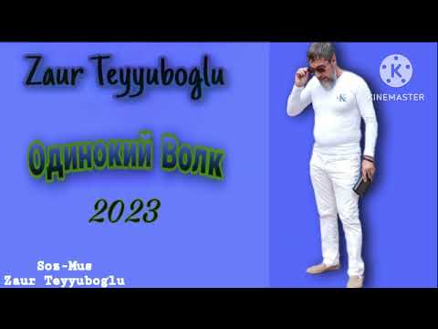Видео: Zaur Teyyuboglu _ Одинокий Волк _ 2023  mp3