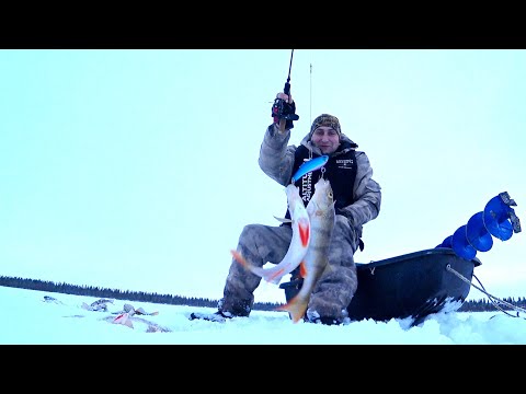 Видео: ВОТ ЭТО ЖОР В ЛУНКЕ! Открытие рыбалки со льда 2024-25. Ловлю окуня и щук на ратлины.