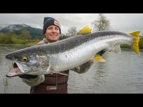 Видео: Гигантский улов стальноголового лосося (Remote River Fishing, Орегон)