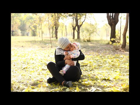 Видео: 50 баллды кантип оной жасаса болот?