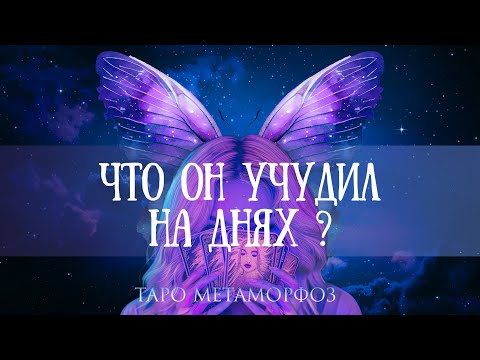 Видео: 🦋ЧТО ОН УЧУДИЛ НА ДНЯХ... ПРОСТО НЕТ СЛОВ, что вы об этом думаете?