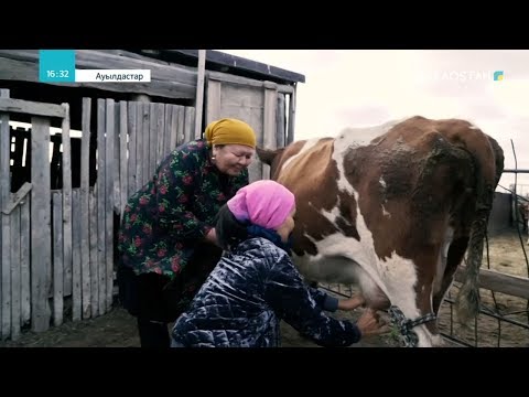 Видео: «АУЫЛДАСТАР». Ақмола облысы, Степногор ауданы, Қарабұлақ ауылы