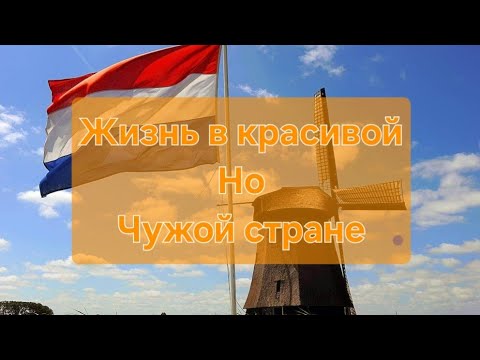 Видео: 🔥3 года под временной защитой в Нидерландах🇳🇱