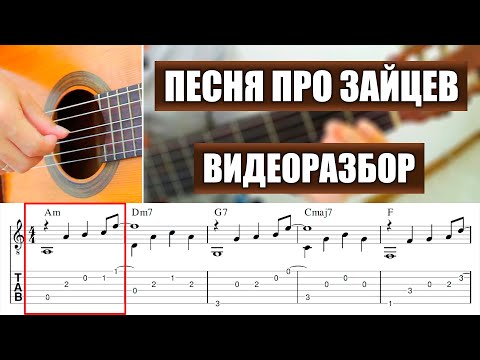 Видео: Песня про зайцев | Видеоразбор | Александр Фефелов