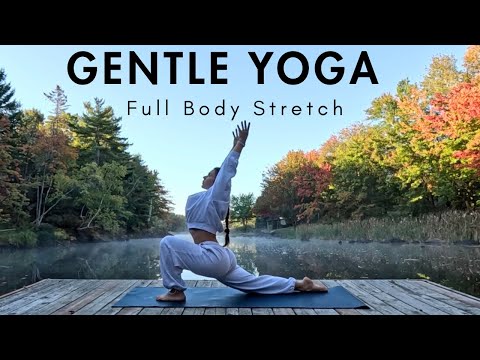 Видео: 20-минутная лёгкая йога на растяжку всего тела | Для всех уровней подготовки