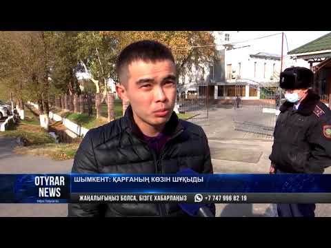 Видео: Шымкент: қарғаның көзін шұқыды