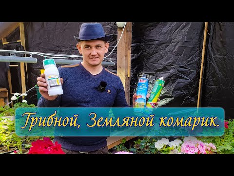 Видео: Как побороть грибной комарик, земляной комарик, мушка. Актара.