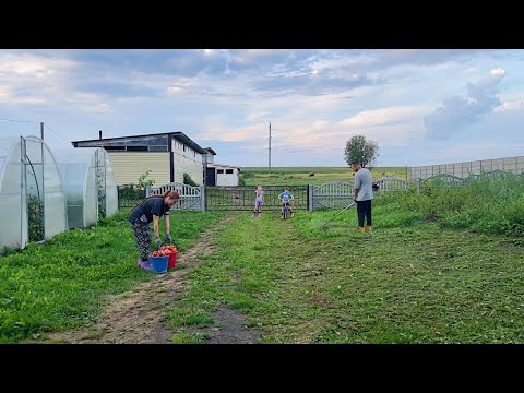 Видео: Сами не справились. Пришлось обращаться за помощью. Готовимся к стройке. Собираем урожай.