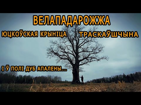 Видео: Велападарожжа па Беларусі. Юцкоўская крыніца, Вадзяны млын ў в. Траскаўшчына, І ў полі дуб Апалены.