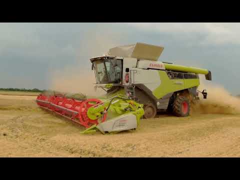 Видео: CLAAS Lexion 8700 + CONVIO FLEX 1080 test  work process_робочий процес