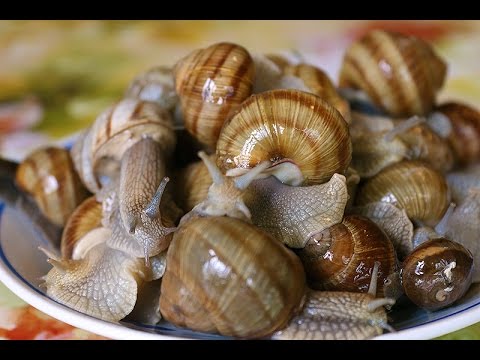 Видео: Изысканное блюдо из виноградных улиток: старинный болгарский рецепт