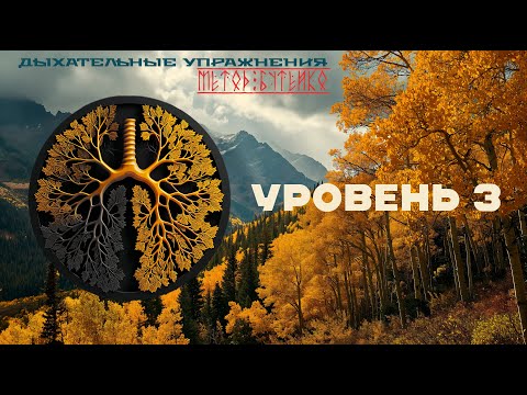 Видео: Дыхательные упражнения . Метод Бутейко . Уровень 3