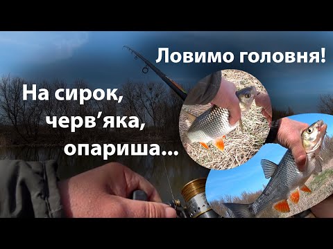 Видео: Прошені головеньчики!