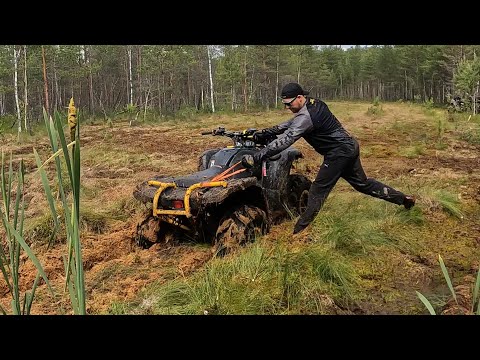 Видео: Пантелеево болото