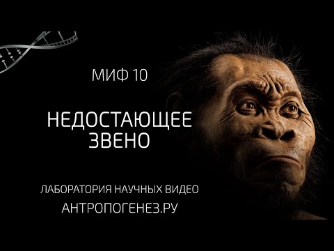 Видео: Недостающее Звено. Мифы об эволюции человека.