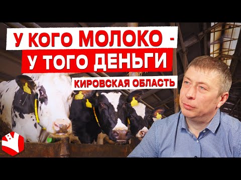 Видео: У кого молоко, у того и деньги! | Племзавод «Октябрьский»| Молочное животноводство и растениеводство