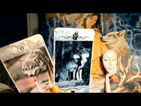 Видео: Мой ли человек рядом???В чём смысл взаимодействия??/