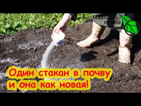 Видео: ВСЕГО ОДИН СТАКАН И ПОЧВА ВОССТАНОВЛЕНА! Не удобрение, не зола и не гуматы. Просто чудо-средство!