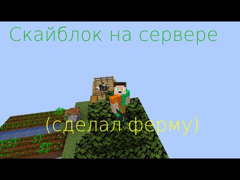 Видео: СКАЙБЛОК НА СЕРВЕРЕ! ПОСТРОИЛ ФЕРМУ (ПОПЛАВАЛ В ЛАВЕ)