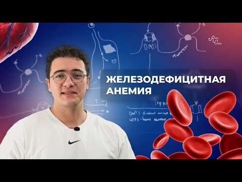 Видео: Железодефицитная анемия. От общего анализа крови до лечения